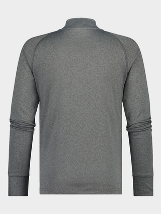 Arctic Skipully men | Grey