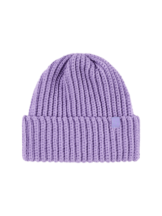 Arctic Charm Beanie | Purple